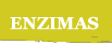 ENZYM