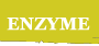 ENZYM