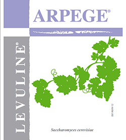 ARPEGE