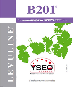 B201 YSEO