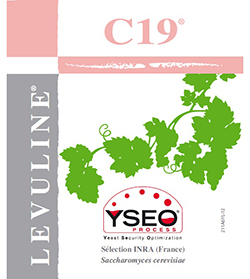 C19 YSEO