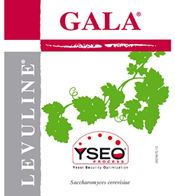 GALA YSEO