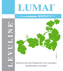 LUMAÏ