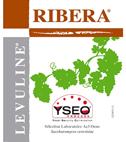 RIBERA YSEO